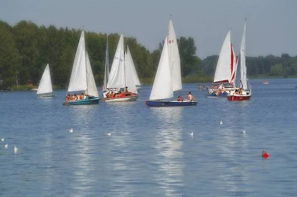 Leśny brzeg i zatoka nad Zalewem Koronowskim