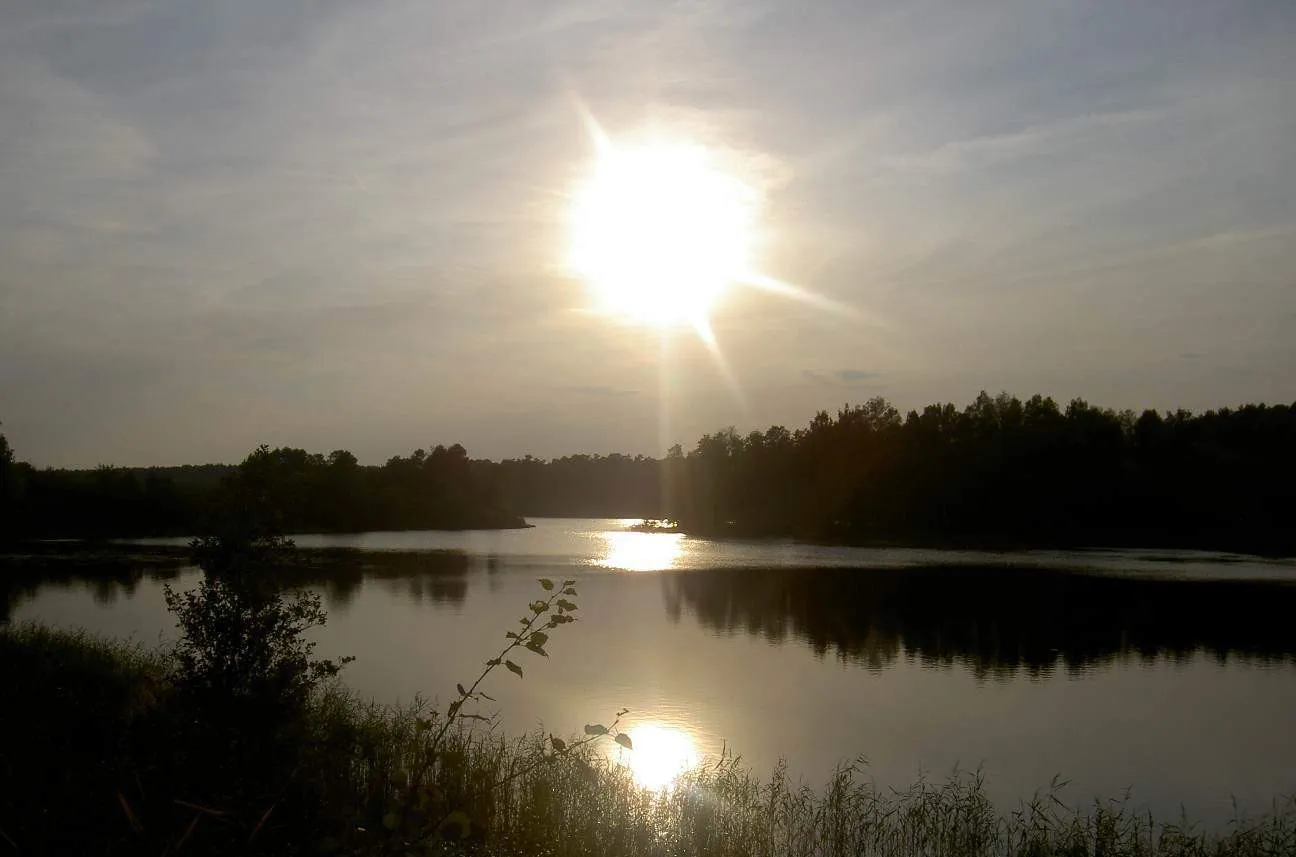 Spokojna tafla Zalewu Koronowskiego i zalesione brzegi
